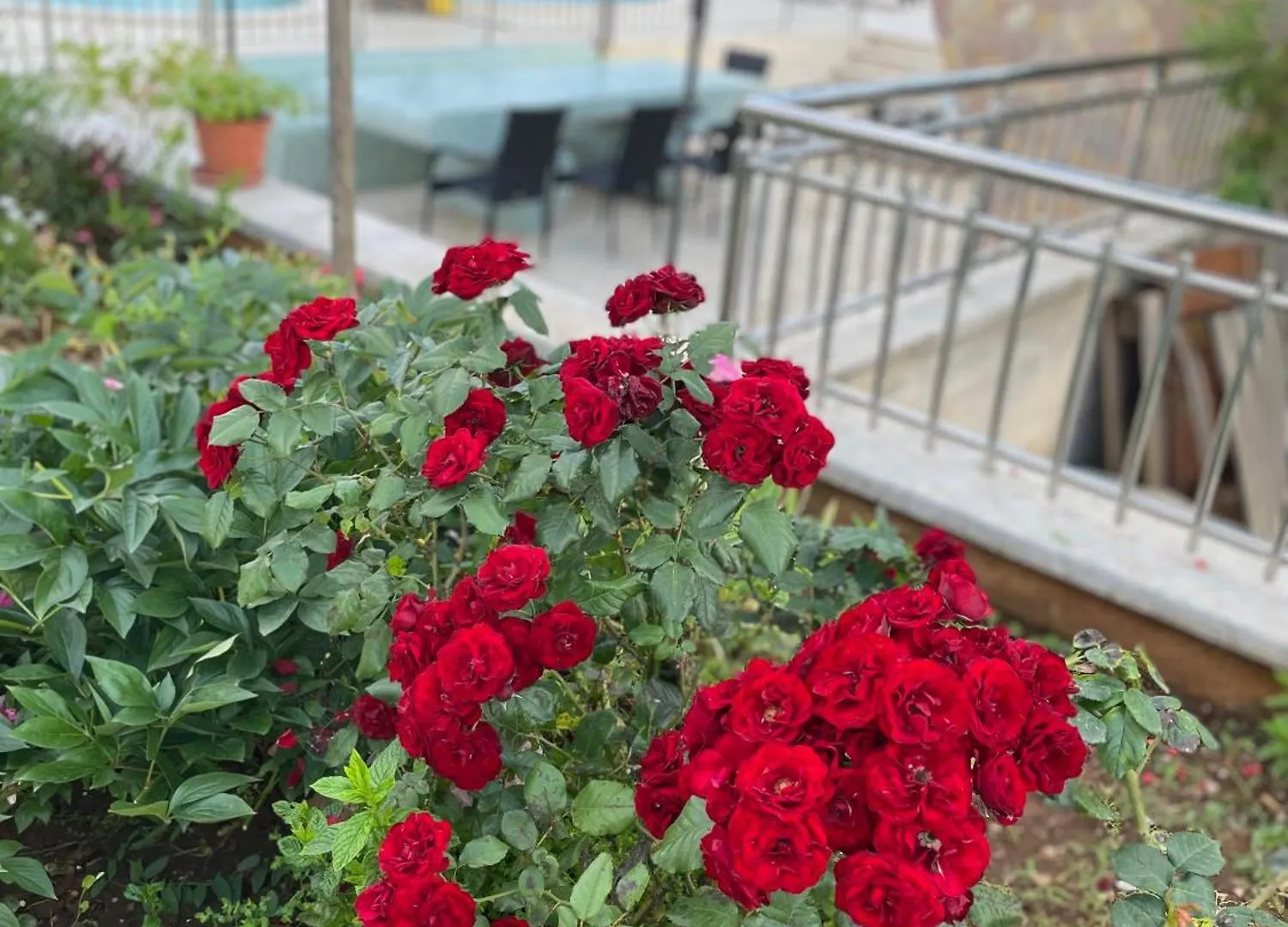 Villa Kimberly Rovinj